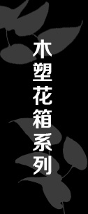 ʵľľ